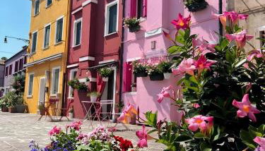 Pink Paradise - Foto 4