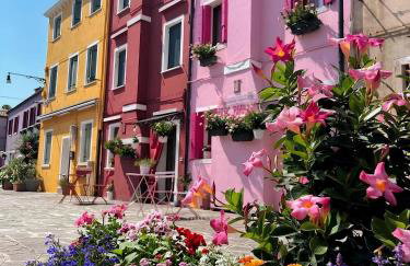 Pink Paradise - Foto 4