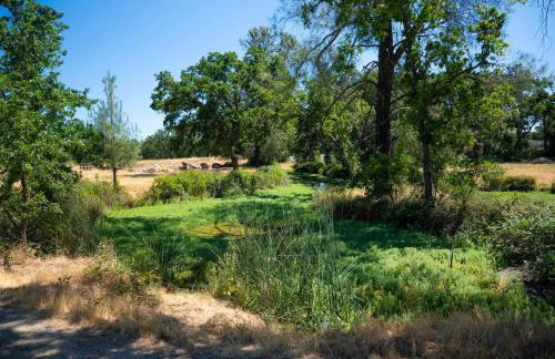 Ranch Stay-A 240 acre Working Ranch - Foto 69