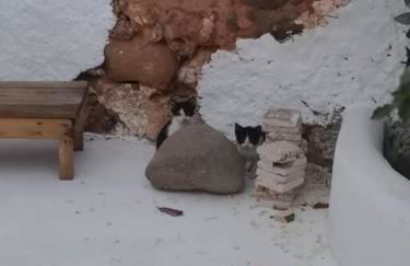 Casa Bartolo - Foto 23