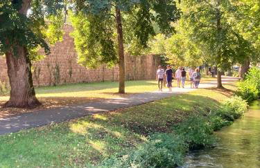 Charmante maison de 140m2 au bord de la rivière au coeur de Wissembourg - Foto 43