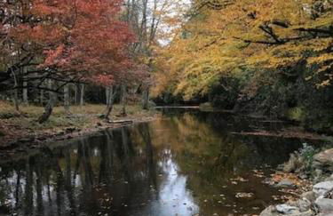 River Run Cottage Modern 2BR Waterfront Retreat in Linville Land Harbor - Foto 28