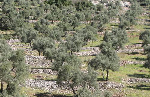 Cortijo "Era Grande 2" - Foto 53