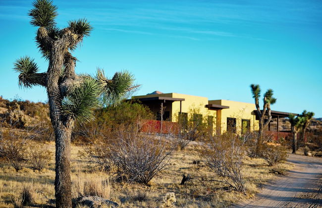 Sacred Sands - Lobo Luna - Photo 51