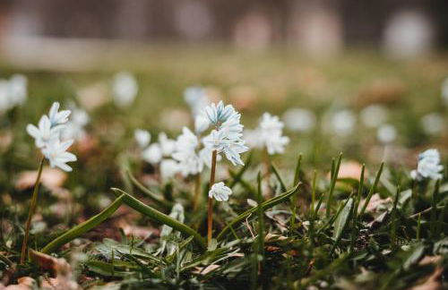 Ferienwohnung Ledergerber - Foto 14
