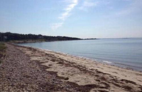 The Dragonfly - Planting Island - Foto 4