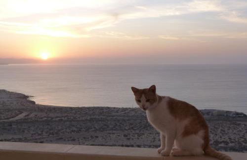 Costa Calma / Playa Paraiso Laguna Blu - Foto 45
