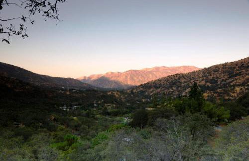 Shady Knoll - Photo 8