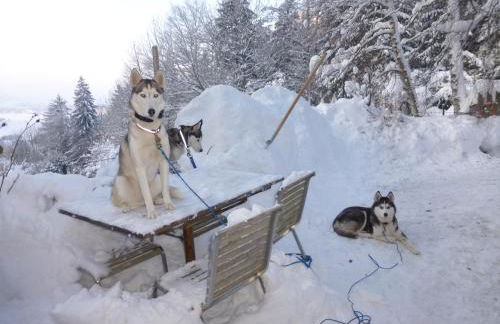 Appartement Les Ptits Loups - Foto 34