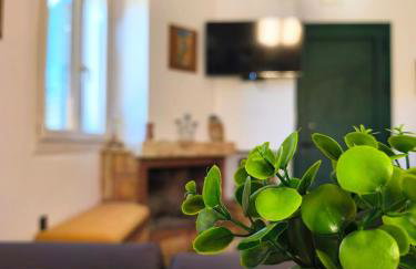 Mastic Serenity County House - Photo 45