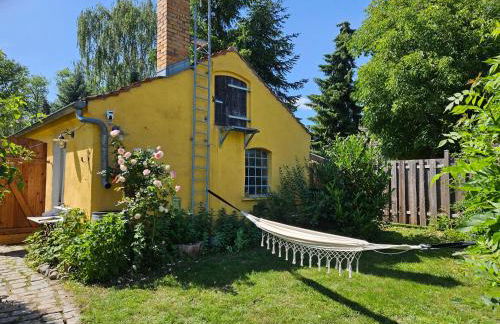 Ferienwohnung am Rosenbusch - Photo 12