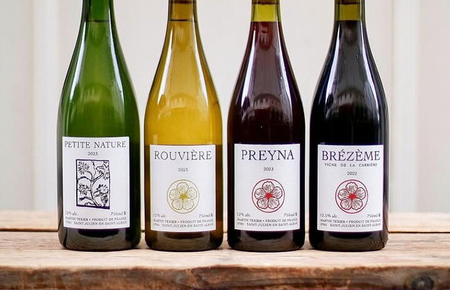 Lyon: Una experiencia gastronómica privada en 3 restaurantes - Foto 13