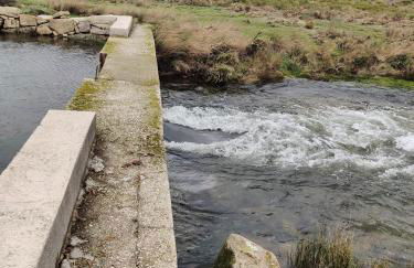 Casa do Sobrado-Gralhas-Montalegre - Foto 36