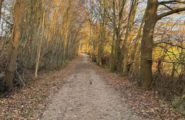 Ferienwohnung an der Ostsee Nähe Priwall - Photo 13