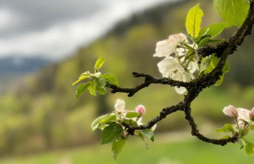 Wolfshound Cottage - Foto 60