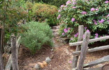 Restored1850s log cabin, with gazebo and gardens! 1 mile to downtown Weaverville - Foto 63