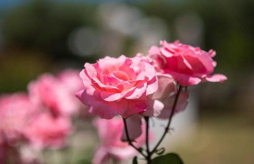 Garden House with Pool, 10min to center - Foto 31