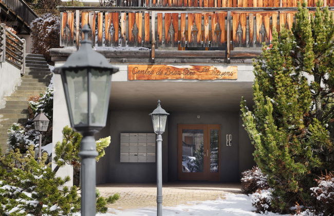 Les Mayens 1.1 - Foto 23