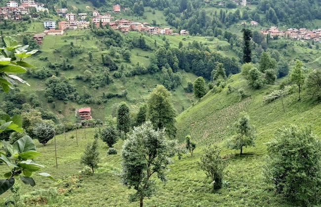 MEZRA DOĞAL DAĞ EVLERİ - Photo 26