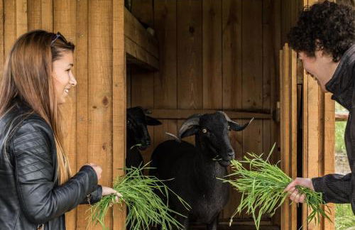 Chão do Rio - Turismo de Aldeia - Foto 21