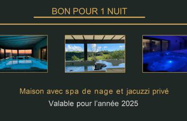 spa de nage et jacuzzi à Séverac d'Aveyron - Photo 7