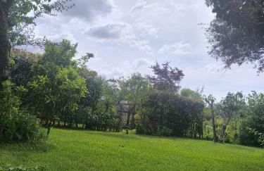 Casa de Reborido - Foto 45