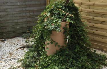 Gite Au Pré du Mont st michel - Foto 61