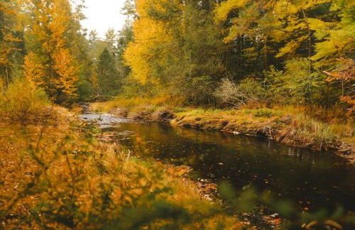 Enchanting River- Water Front A-Frame Cabin - Foto 24