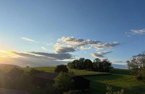 Ferienwohnungen Albhof Sonnenbühl - Foto 10