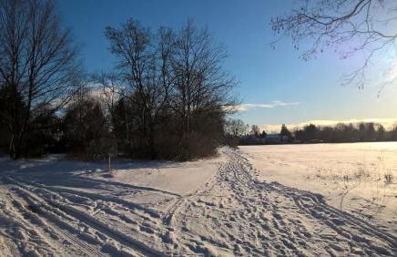 Toms Stuga Ferienwohnung - Foto 29