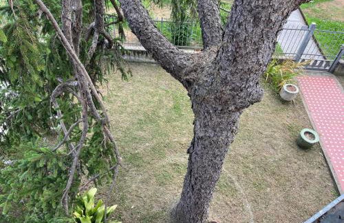 La Casa dei Limoni - Foto 28