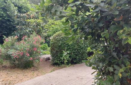 Little cherry - Photo 43