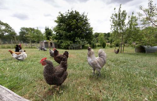 Upper Vobster Farm - Foto 6