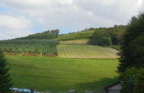 Gasthaus Wollmeiner - Foto 20