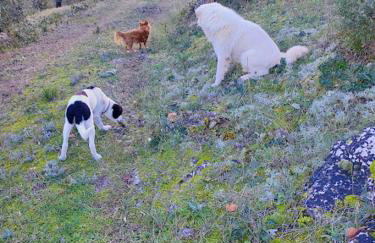 Little Bit Of Heaven - Foto 34