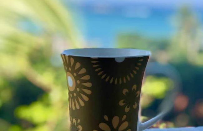 Sandaya's Place - Photo 48