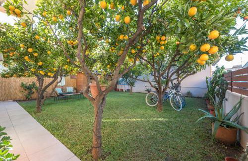 In the center of Messolonghi - Photo 10