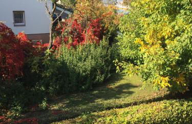Gartenblick Zell am Main - Foto 15
