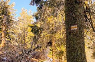 Apartament Telkom 1 - Foto 24