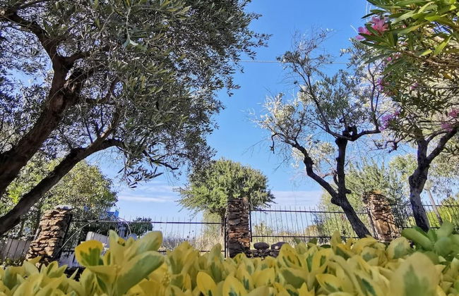 Welcomely - La Casa Di Rita - Li Cucutti - Foto 5