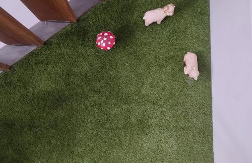 Encanto. Céntrico tríplex cerca de la Corredera y casco antiguo. - Foto 6