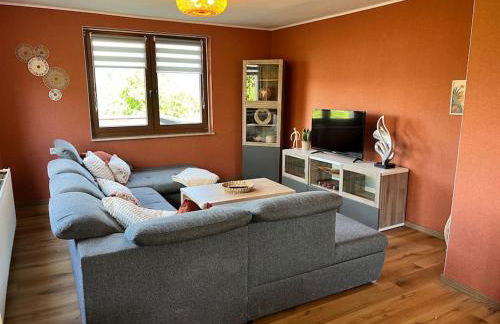 4 Sterne FeWo Rhönland-Erlebnis in Bernshausen - auch für Wanderreiter - Foto 55