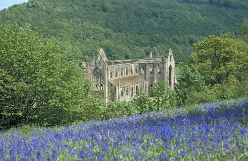 Shepherd’s delight - Foto 29