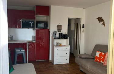 Élégant Studio au calme 2mn mer Wifi Clim Terrasse parking - Foto 4