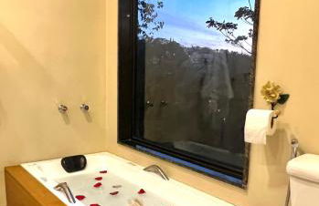 Casa do Alto Santa Mônica- Natureza ao seu redor - Foto 55