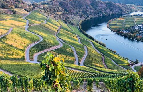 Sonnenlay Lounge - Studio & Ferienhaus - Foto 52