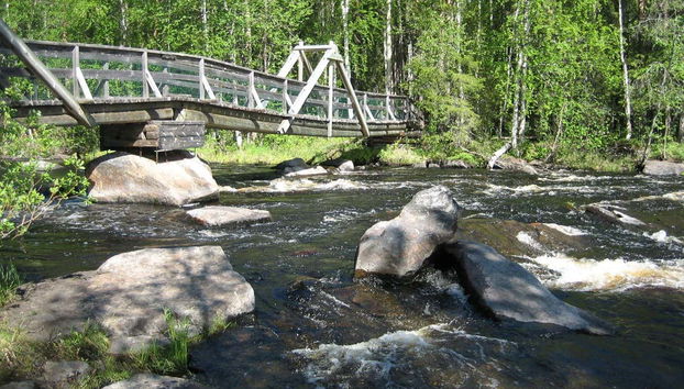 Vikaköngäs Hiking Tour - Foto 2