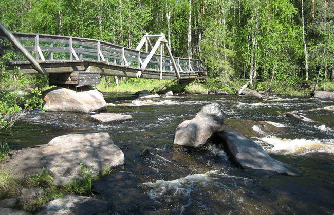 Trilha por Vikaköngäs - Foto 2