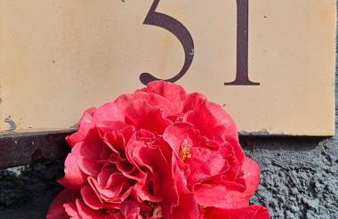 Cantinho da Lourdes e Tonito Nº 136193/AL - Foto 18