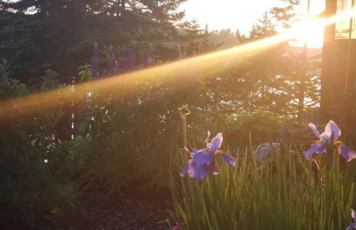 Sunset Cabin by the Sea, Log cabin stunning views - Photo 44